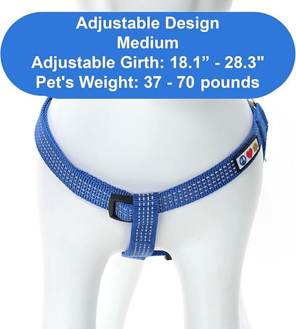 Pawtitas Reflective Step-in Dog Harness – Adjustable No-Pull Vest for Puppies to Seniors, Safe & Comfortable, M Blue
