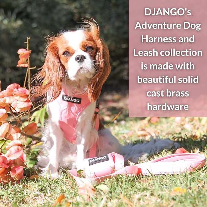 DJANGO Adventure Dog Leash – Strong, Comfortable, and Stylish Dog Leash with Solid Brass Hardware and Padded Handle - Designed for Outdoor Adventures and Everyday Use (Quartz Pink)