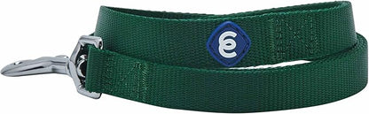 Blueberry Pet Essentials | Verdant Green Nylon Leash, 5ft x 3/4" | Lightweight & Durable for Training Standard Leashes & Lightweight for Training