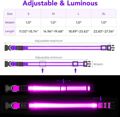 VIZPET LED Dog Collar, Light Up Dog Collar Adjustable USB Rechargeable Super Bright Safety Light Glowing Collars for Dogs (Purple, Medium[14.96-19.68 inch/38-50cm])