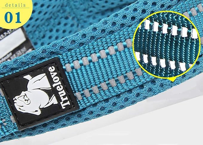 Truelove Dog Collar Reflective Premium Duraflex Buckle,High Grade Nylon Webbing No Choke Basic Collars TLC5011(Blue,L)