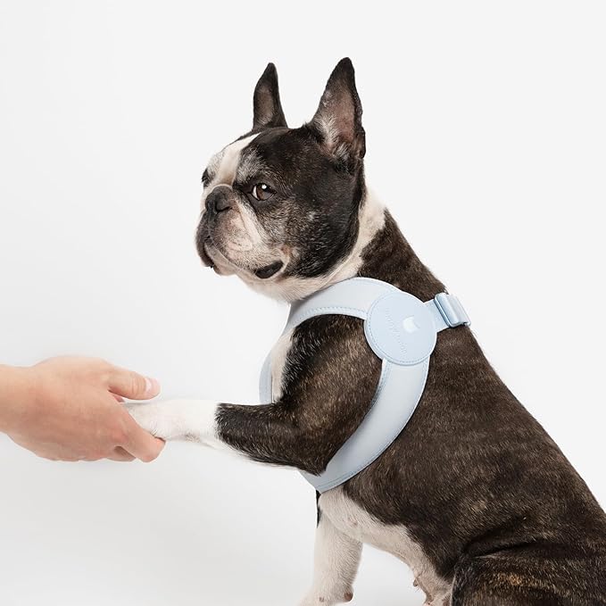 Ultra Comfortable Dog Harness Adjustable Soft Dog Vest, Alloy Buckle Closure Lightweight Stretchy Puppy Harness Step in for Small Sized Dogs Walking Training (Sierra Blue, XS)