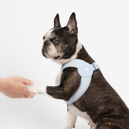 Ultra Comfortable Dog Harness Adjustable Soft Dog Vest, Alloy Buckle Closure Lightweight Stretchy Puppy Harness Step in for Small Sized Dogs Walking Training (Sierra Blue, XS)
