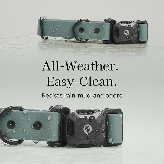 2026 New Edition, Fei & Eve PVC MagEase Dog Collar - Patented Magnetic Buckles | Fur-Safe | 450LB Escape-Proof | Adjustable Fit | Small (Glacier Green)