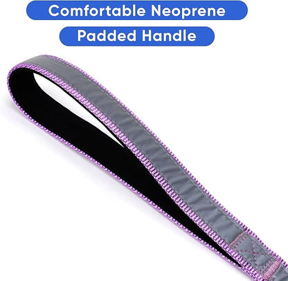 Pawtitas Orchid Dog Leash 6 ft Custom ID Lead for Dogs & Puppies Reflective Comfortable Padded Handle Embroidered Name & Phone Number