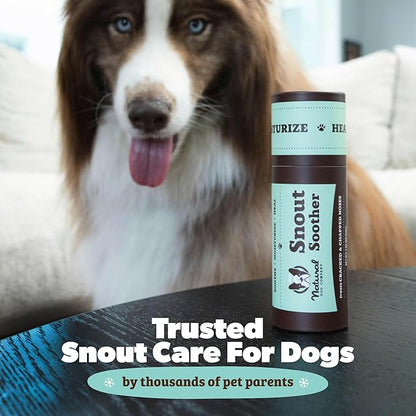 Natural Dog Company Snout Soother Balm – Dog Nose Balm for Dry Cracked Snouts, Moisturizing Winter Nose Care with Coconut Oil & Shea Butter, Lick Safe Dog Snout Balm for All Breeds, 0.15 oz Stick