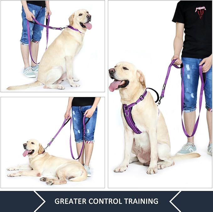 Plutus Pet Double Handle Dog Leash 5ft, Heavy Duty, Reflective Dual Handle Dog Leash for Safety Training, for Medium Large Dogs,2 Handle Leads(Purple)