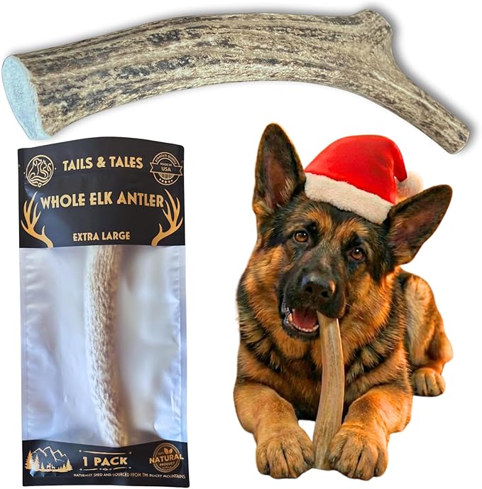 Tails & Tales Whole Elk Antler for Dogs X-Large 8-10" Long-Lasting & Durable Dog Bones for Aggressive Chewers or Teething Puppies No Additives, Premium Grade A, Naturally Shed in USA