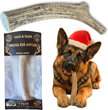Tails & Tales Whole Elk Antler for Dogs X-Large 8-10" Long-Lasting & Durable Dog Bones for Aggressive Chewers or Teething Puppies No Additives, Premium Grade A, Naturally Shed in USA