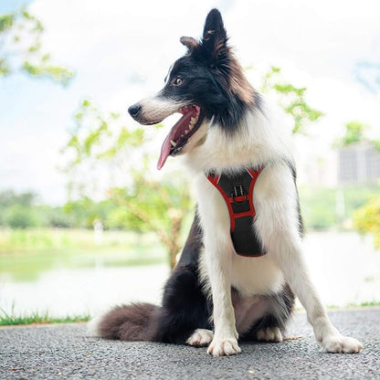 PHOEPET 2019 Upgraded No Pull Dog Harness, Reflective Adjustable Vest, with a Training Handle + 2 Metal Leash Hooks+ 3 Snap Buckles +4 Slide Buckles(XS, Black)