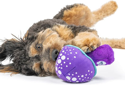 Huxley & Kent for Dogs | Mellow Mushroom (Small) | Funny Dog Toy | Power Plush Dog Toy with Squeaker | Dog Gift | Fun, Durable | H&K Squeaky Dog Toy, Purple, Blue