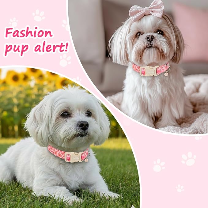 Valentines Dog Collar with Heart Bow Pattern, Adjustable Medium Dog Collar with Safety Buckle & Heart Charm, Spring Summer for Girl Boy Dogs-M