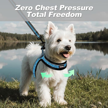 Dog Harness and Leash Set,Step in Small Sized Dog Harness,Soft Mesh,No-Chock,Reflective Adjustable,Secure with Hook & Loop Fastener,Puppy Vest for Small,Medium Dogs(Blue/Black,XS)