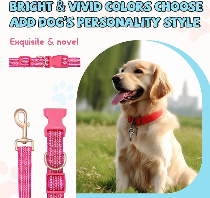 Reflective Dog Collar and Leash Set, Nylon Dog Leash with Heavy-Duty Steel D-Ring, Adjustable with Quick Release Buckle for Small Dogs,Hot Pink S