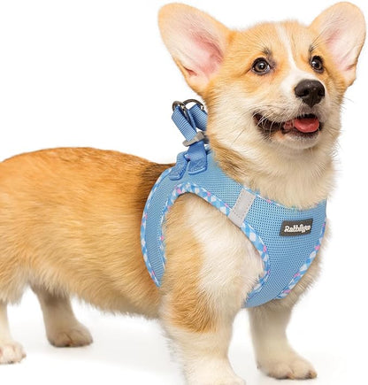 rabbitgoo Small Dog Harness, Step-in Soft Mesh Puppy Vest with Safety Buckle, Breathable Reflective Pet Harness for Small Medium Dogs, Blue & Plaid Trim L