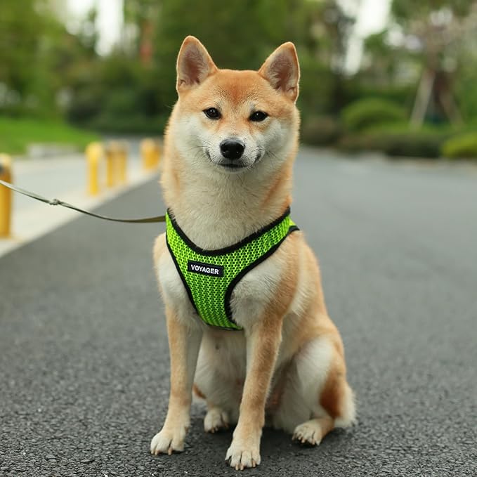 Best Pet Supplies Voyager Step-in Air Harness - All Weather Mesh, Reflective, No Pull Harness for Dogs, Cats - Secure with Hook & Loop Fastener, Buckle, Double D-Rings - Lime Green 2-Tone, XS