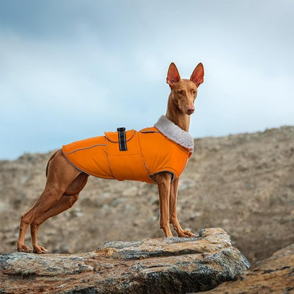 Lelepet Dog Coat Waterproof Dog Jacket Reflective Fleece Vest with Adjustable Buckle & Leash Hole Windproof Cold Weather Coats for Small Medium Large Dogs, Warm Hunting Vest, Orange, L