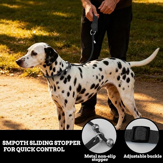 EVERKING Dog Slip Lead Dog Training Leash, No-Pull Slip Leash and Collar,Nylon Material Heavy-Duty and Durable,with Comfortable Padded Handle,Suitable for All Dogs (Black(4.9-5.9FT-Metal Buckle))