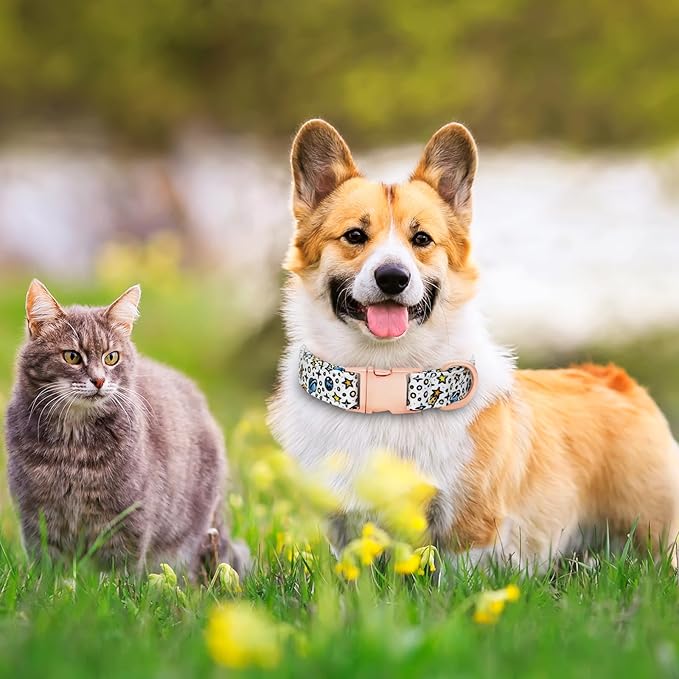 Dog Collar and Leash Set Girls Adjustable Puppy Collars with Floral Bow Tie for Small Medium Large Female Dogs, Solar System, M