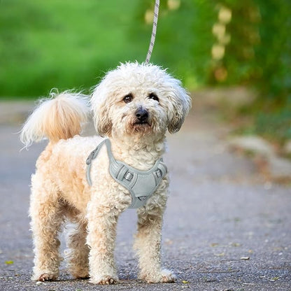 BARKBAY No Pull Dog Harness Large Reflective Dog Harness with Front Clip and Easy Control Handle for Walking Training Running with ID tag Pocket(Grey,XS)
