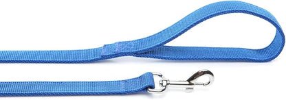 Strong Nylon Dog Leash with 2-Layer, 4 FT/ 6 Feet Long, 1 Inch Wide for Medium Large Dogs (1'' x 5 FT, Blue)