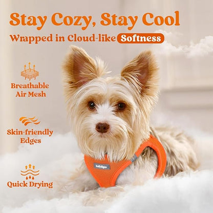 rabbitgoo Small Dog Harness, Step-in Soft Mesh Puppy Vest with Safety Buckle, Breathable Reflective Pet Harness for Small Sized Dogs, Orange XS