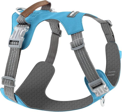 ApakBak No Pull Dog Harness – Adjustable Reflective Nylon Vest for Small Medium Large Dogs, Escape Proof Training Harness with Leather Control Handle, Lightweight Aluminum Hardware (Cyan, L)