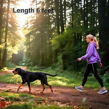 Heavy Duty Double Handle Dog Leash 6 ft Long for Total Control, Padded 2 Handle, Reflective Training Lead for Medium Large Dogs (Black, 6 FT)