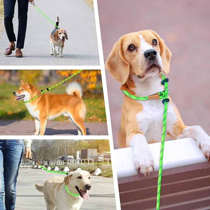 lynxking Slip Lead Dog Leash Reflective, Heavy Duty Comfortable Strong Rope Leash for Large Medium Small Dogs No Pull Training (Light Green, Small 3/8in x 6ft-Slip Lead)
