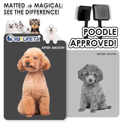 Large Slicker Brush for Dogs,Doodle Brush for Poodles, Goldendoodles, Labradoodle, Extra Long Pins for Detangling Matted Fur & Reducing Shedding, Dog Grooming Kit with Wooden Handle. Black