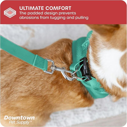 Downtown Pet Supply Step in Dog Harness for Teacup Dogs & Cats No Pull, XX-Small, Bermuda Blue - Adjustable Harness with Padded Mesh Fabric and Reflective Trim - Buckle Strap Harness for Dogs