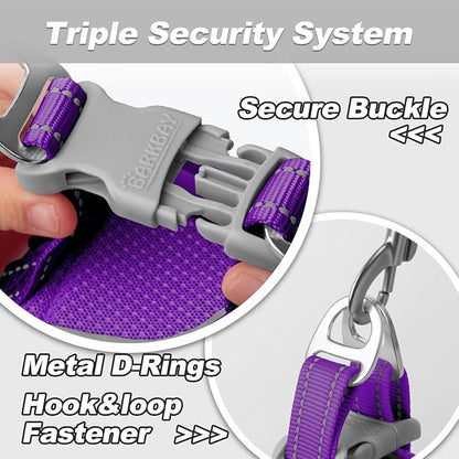 Dog Harness and Leash Set,Step in Small Sized Dog Harness,Soft Mesh,No-Chock,Reflective Adjustable,Secure with Hook & Loop Fastener,Puppy Vest for Small,Medium Dogs(Purple,M)