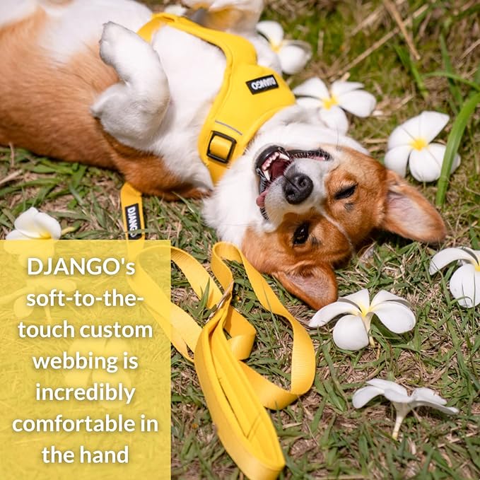 DJANGO Adventure Dog Leash – Strong, Comfortable, and Stylish Dog Leash with Solid Brass Hardware and Padded Handle - Designed for Outdoor Adventures and Everyday Use (Dandelion Yellow)
