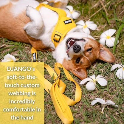 DJANGO Adventure Dog Leash – Strong, Comfortable, and Stylish Dog Leash with Solid Brass Hardware and Padded Handle - Designed for Outdoor Adventures and Everyday Use (Dandelion Yellow)
