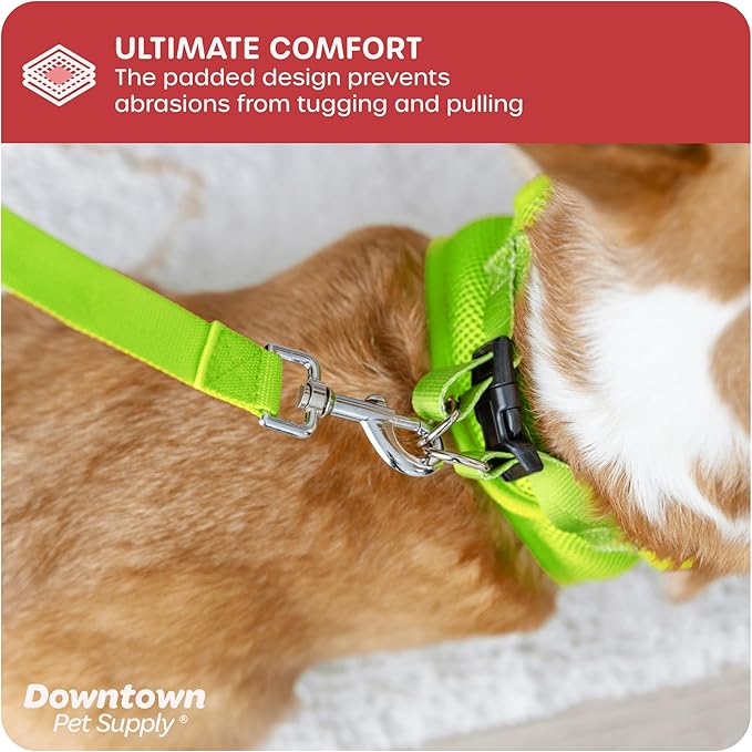 Downtown Pet Supply Step in Dog Harness for Small Dogs No Pull, X-Small, Atomic Yellow - Adjustable Harness with Padded Mesh Fabric and Reflective Trim - Buckle Strap Harness for Dogs