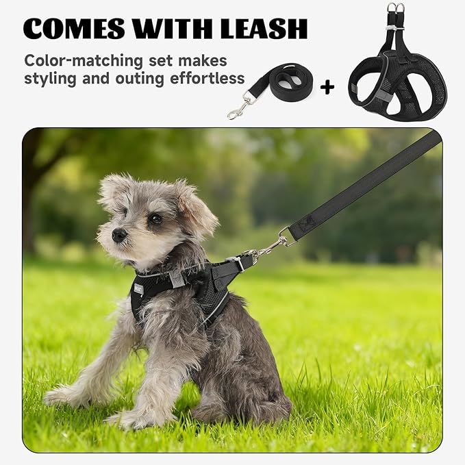 Bolux Dog Harness Small Sized and Leash Set, Step in Soft Light Puppy Vest, Breathable Mesh Pet Harness, Reflective for Safe Easy Walking.