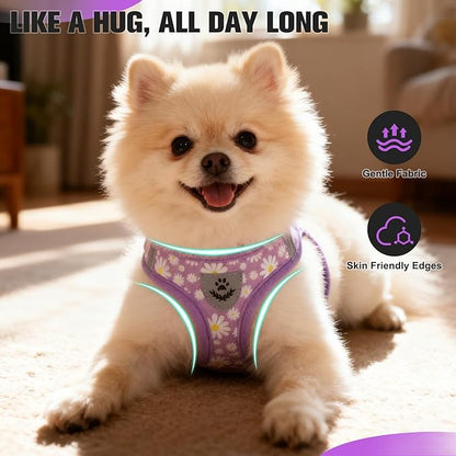 EXPAWLORER Small Dog Harness and Leash Set - Cute Spring Puppy Harness Leash Dog Collar with AirTag Holder Silicone Case, Soft Padded Step in Pet Vest Reflective for Outdoor Walking, Purple Daisy S