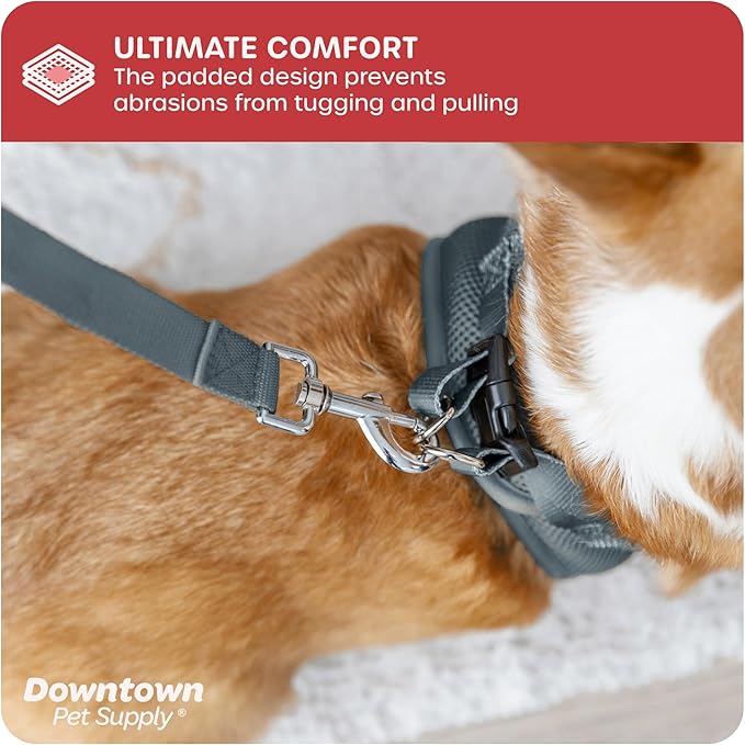 Downtown Pet Supply Step in Dog Harness for Small Dogs No Pull, X-Small, Titanium - Adjustable Harness with Padded Mesh Fabric and Reflective Trim - Buckle Strap Harness for Dogs