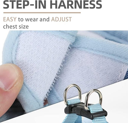 PUPTECK Adjustable Dog Harness Collar and Leash Set Step in No Pull Pet Harness for Small Medium Dogs Puppy and Cats Outdoor Walking Running, Soft Mesh Padded Reflective Vest Harnesses, Blue XL
