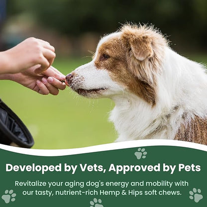 Veterinary Naturals Hemp & HIPS Joint Supplement for Dogs/Supports Relief from Hip and Joint Pain in Large, Aging Dogs (Senior Large Breed, Beef & Bacon)