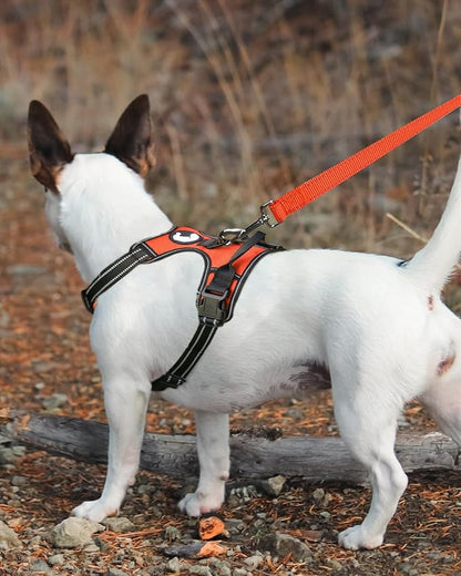 Joytale Double-Sided Reflective Dog Leash, 6 FT/5 FT/4 FT, Padded Handle Nylon Heavy Duty Leashes for Medium & Large Dogs Walking, Orange, 5FT
