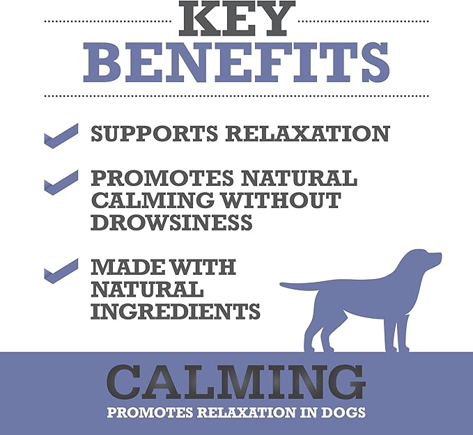 WINPRO Calming Chews for Dogs – Plasma-Powered Soft Chews to Promote Relaxation and Calming Effect – Made with Natural Ingredients, Grain-Free - Suitable for All Breeds & Sizes – 60 Count
