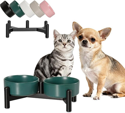 Raised Ceramic Dog Bowl Set - Elevated Double Dishes with Stainless Steel Stand - Food and Water Bowls for Small Dogs and Indoor Cats - Each Holds 1.6 Cups (10.8 fl oz) - Green