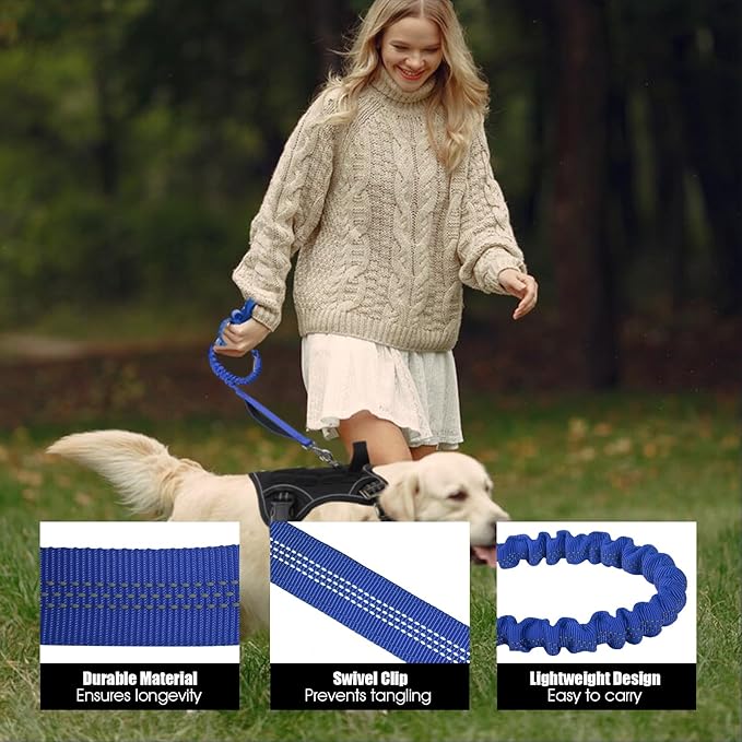 BUMBIN 6Ft Dog Leash - Large Dogs, Bungee Leash with 2 Handles, Heavy Duty, No Pull Shock Absorbing, Deep Blue