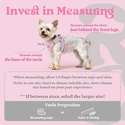 rabbitgoo Small Dog Harness, Step-in Soft Mesh Puppy Vest with Safety Buckle, Breathable Reflective Pet Harness for Extra Small Dogs, Pink & Gray XXS