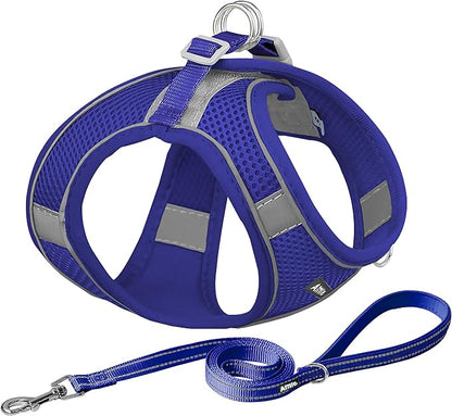 AIITLE Escape Proof Dog Harness - Step in Adjustable Dog Harness No Choke Over with Breathable Mesh and Quick-Release Buckle for All Weather- Outdoor Walking, Training for Medium Dogs Royal Blue XL
