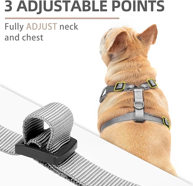 PUPTECK Small Dog Harness and Leash Set, No Pull Adjustable Puppy Cat Harness, Reflective Soft Mesh Pet Vest Small Sized, Grey, S