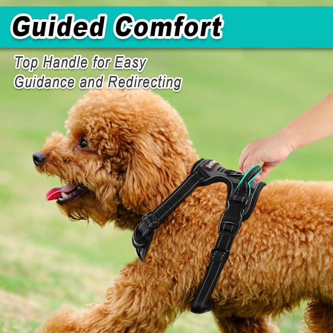 BARKBAY Dog Harness No Pull for Small Dogs - Adjustable, Reflective, Comfortable, No Choke, Heavy-Duty - Perfect for Outdoor Training, Walking, and Hiking - Strong & Durable - XS & Dark Grey
