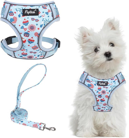 PUPTECK Small Dog Harness and Leash Set, No Pull Adjustable Puppy Cat Harness, Reflective Soft Mesh Pet Vest Small Sized, American Style, S