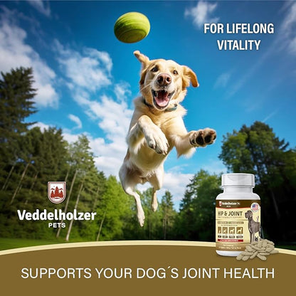 Veddelholzer Dog Joint Supplement Tablets – Hip & Joint Support with Glucosamine, Chondroitin, MSM & Turmeric – Mobility, Flexibility & Comfort Aid for Large & Small Breeds – Vet Recommended